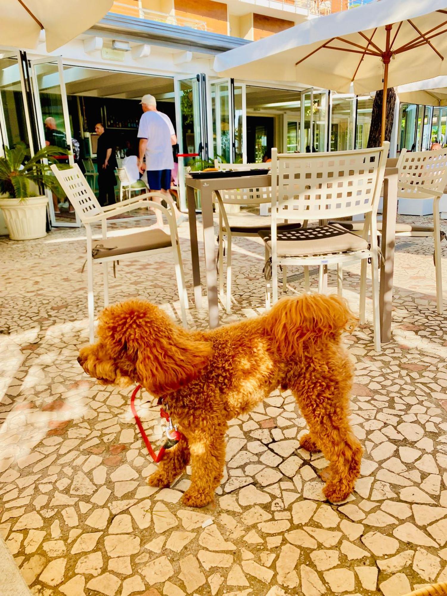 Hotel Franca Milano Marittima Buitenkant foto